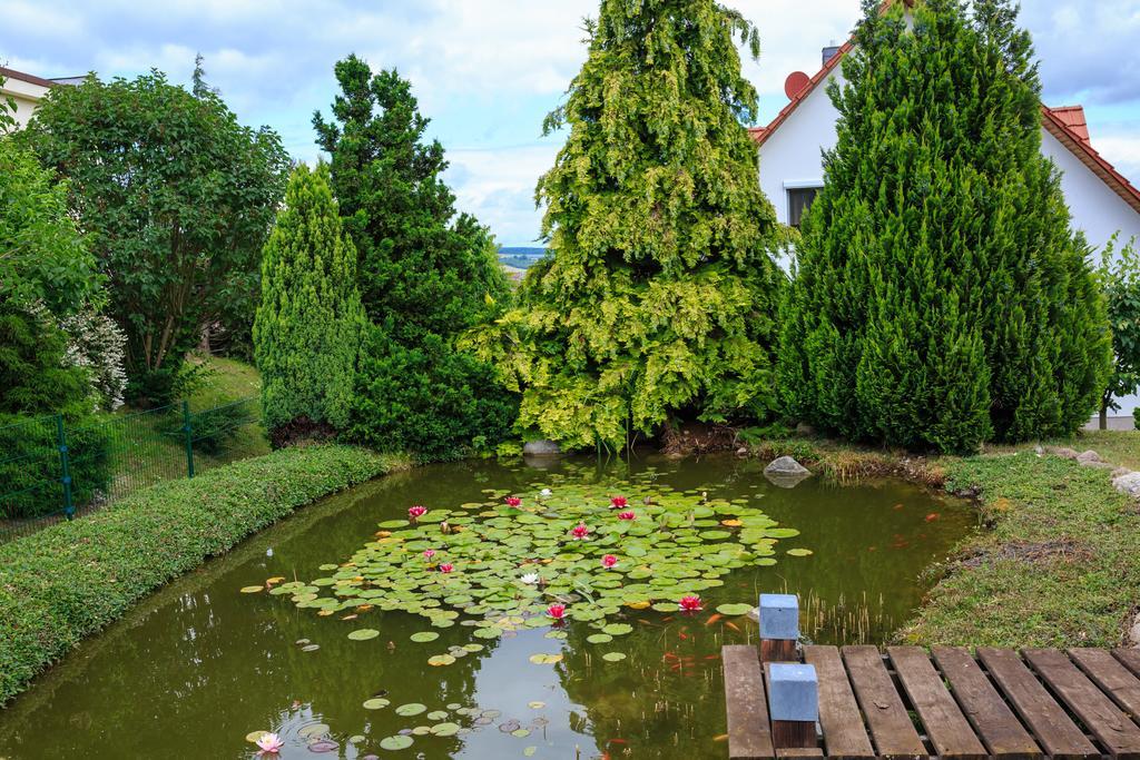 Hotel-Pension am Rosarium Sangerhausen Exterior foto